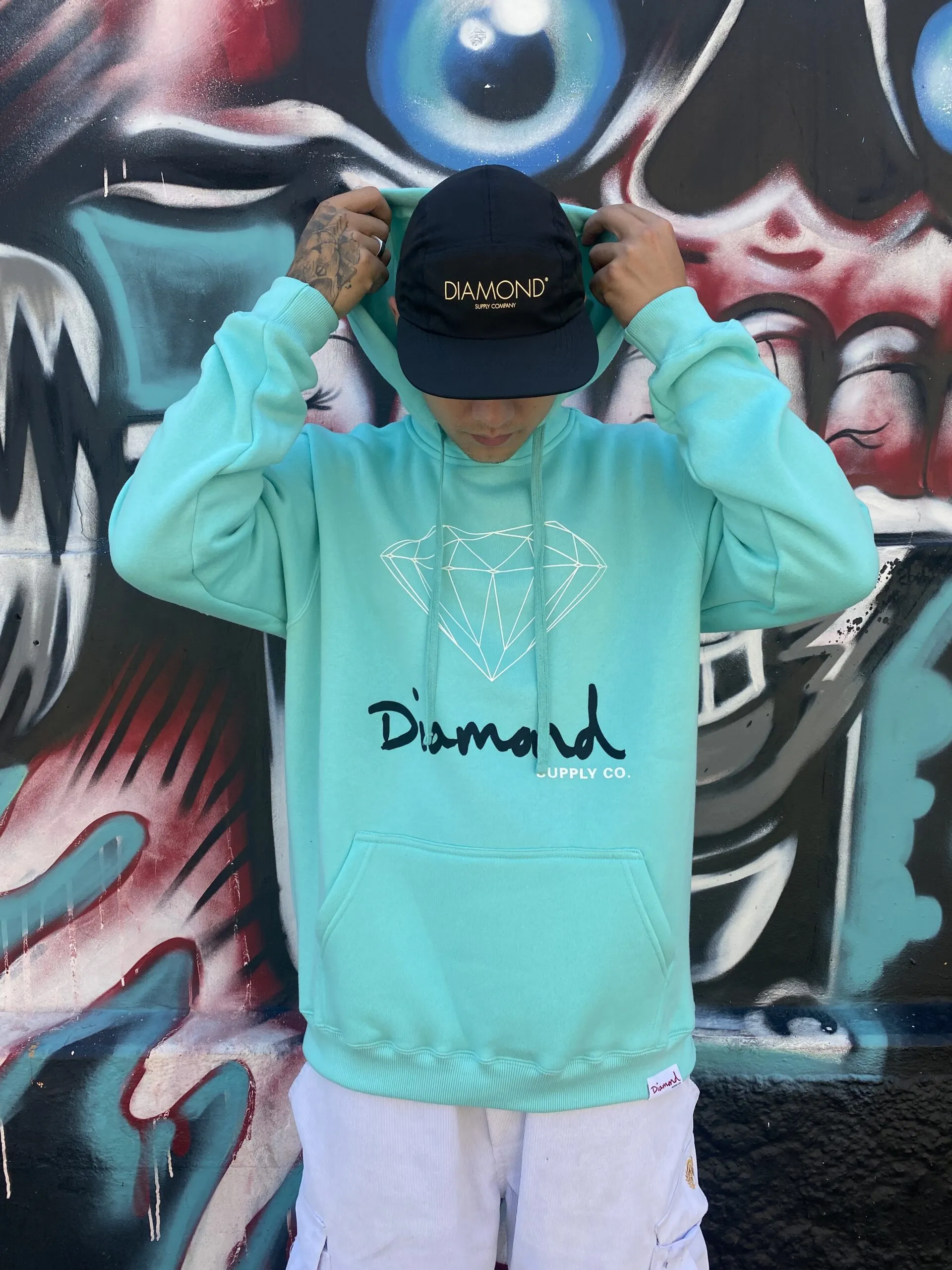 MOLETOM DIAMOND BRILLIANT LOGO HOODIE MENTA