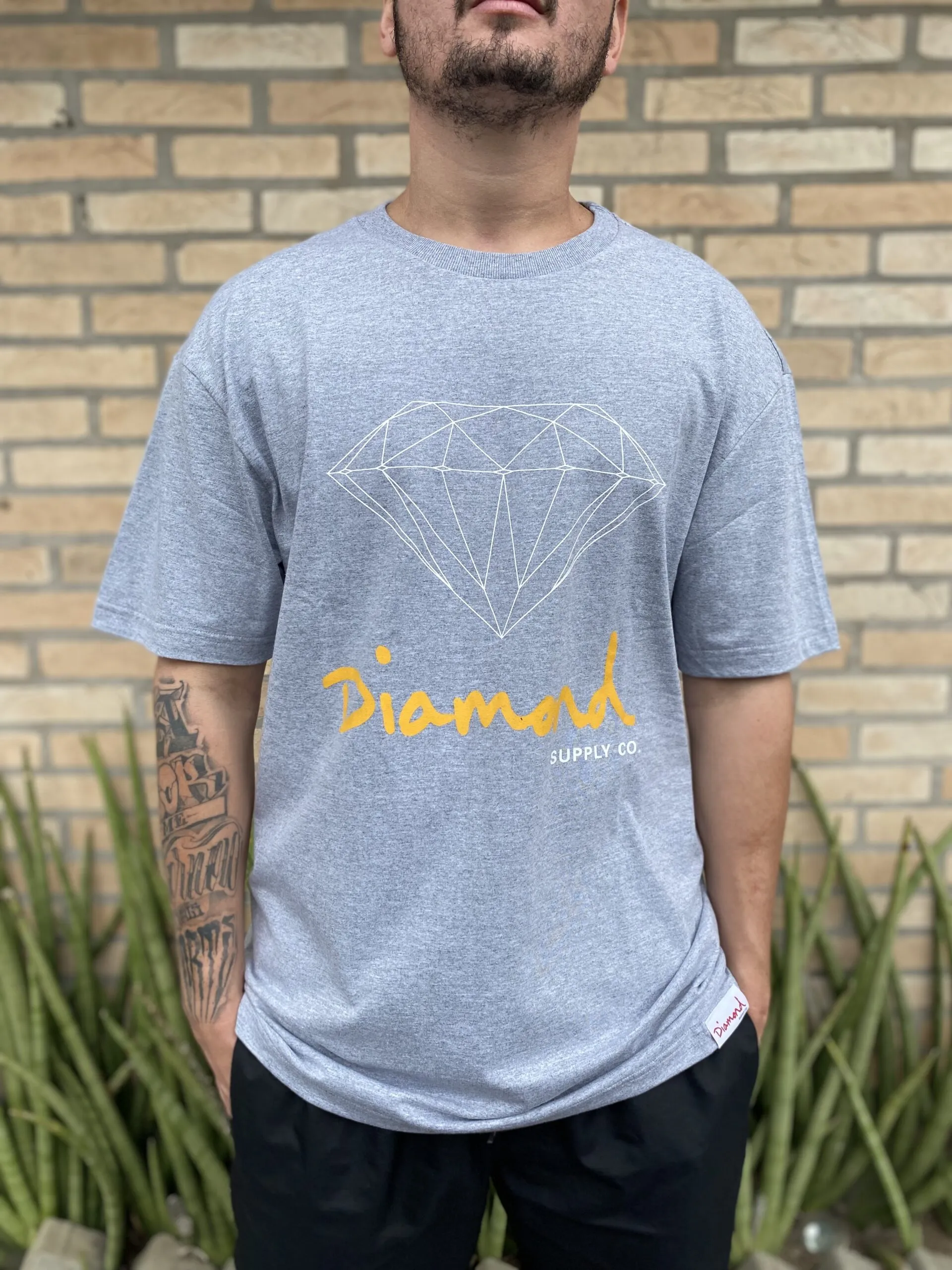 CAMISETA DIAMOND BRILLLIANT LOGO TEE CINZA MESCLA