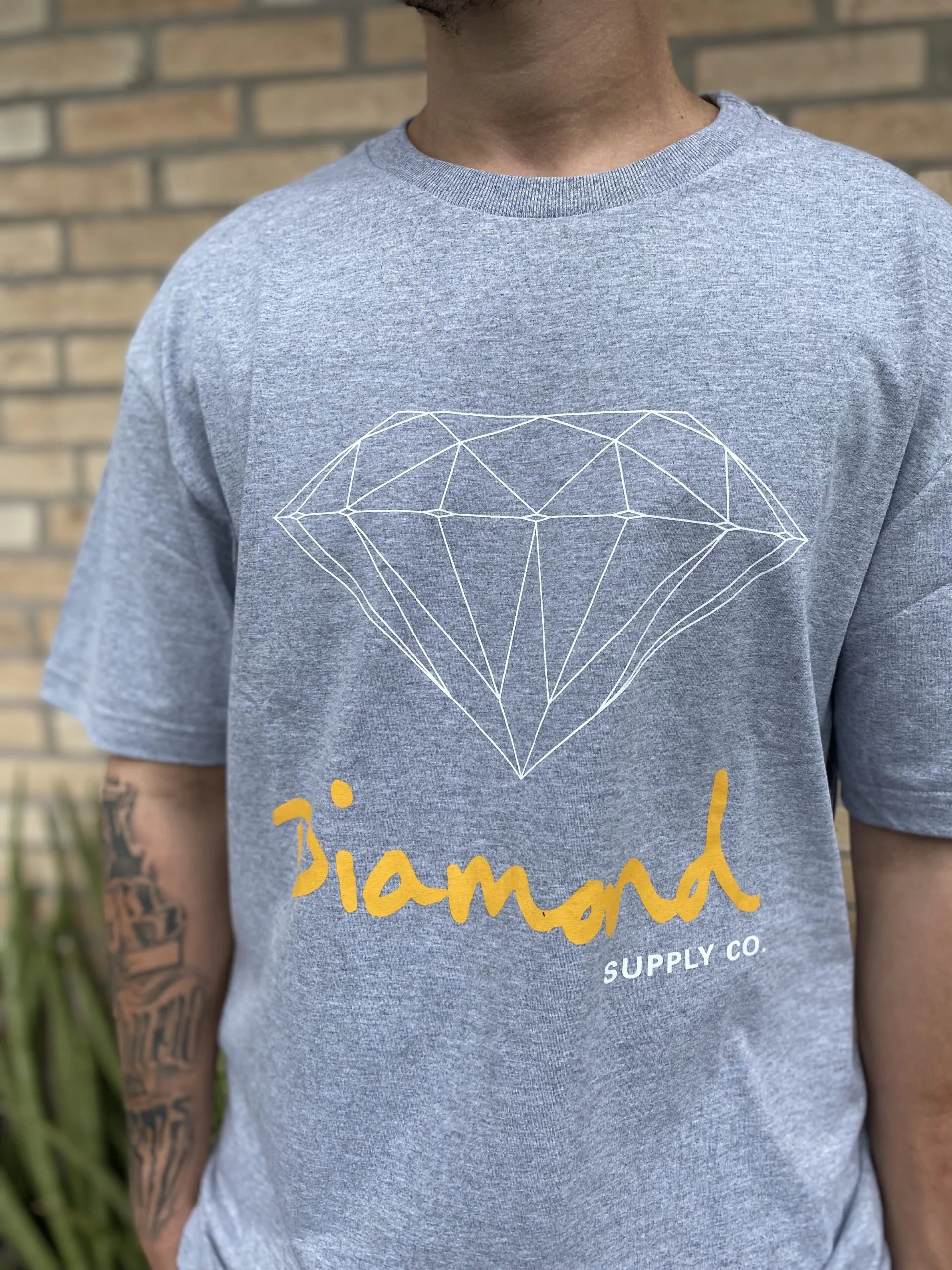 CAMISETA DIAMOND BRILLLIANT LOGO TEE CINZA MESCLA - Imagem 2
