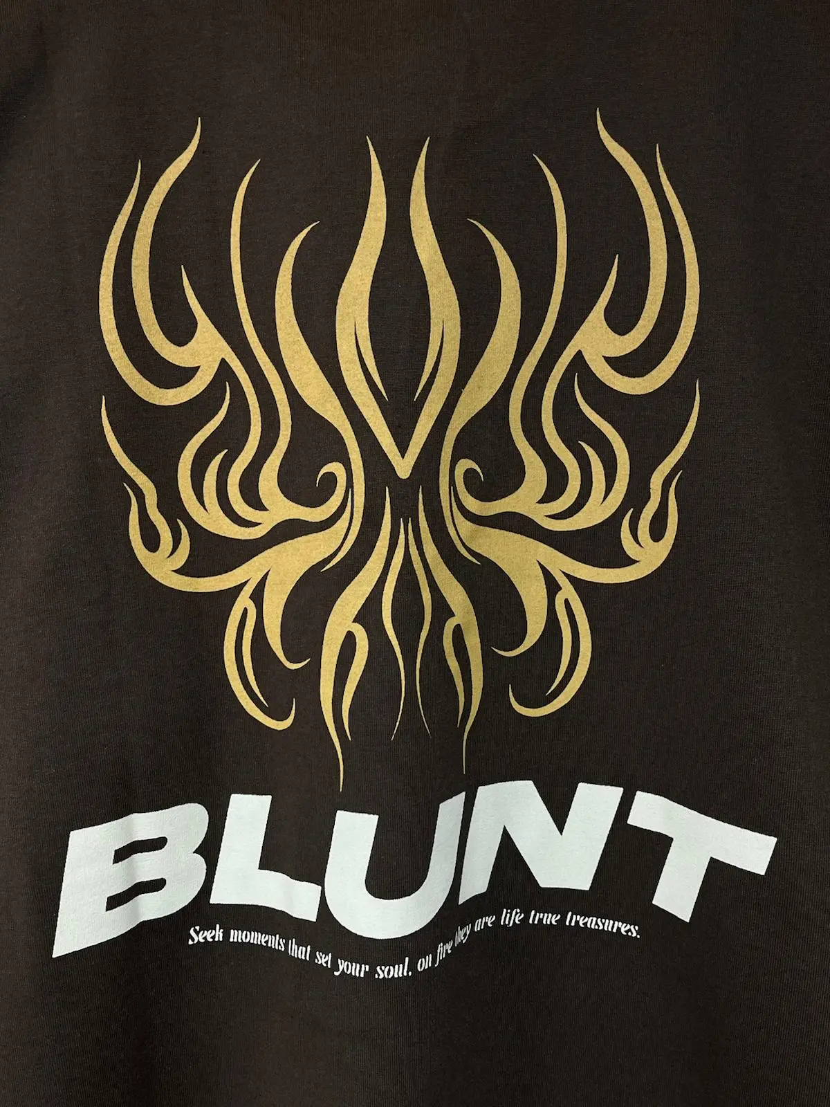 Camiseta Blunt Boxy Prime Marrom - Imagem 5